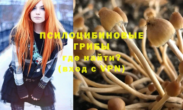 PSILOCYBIN Нефтегорск