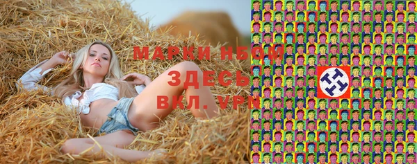 соль ск Нефтекумск