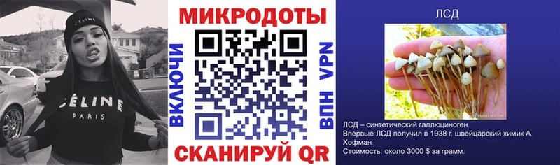 Галлюциногенные грибы Psilocybine cubensis  цена   kraken ссылки  Заволжск 